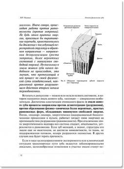 Основы физиологии зуба (В.Р.Окушко) 2008 г.